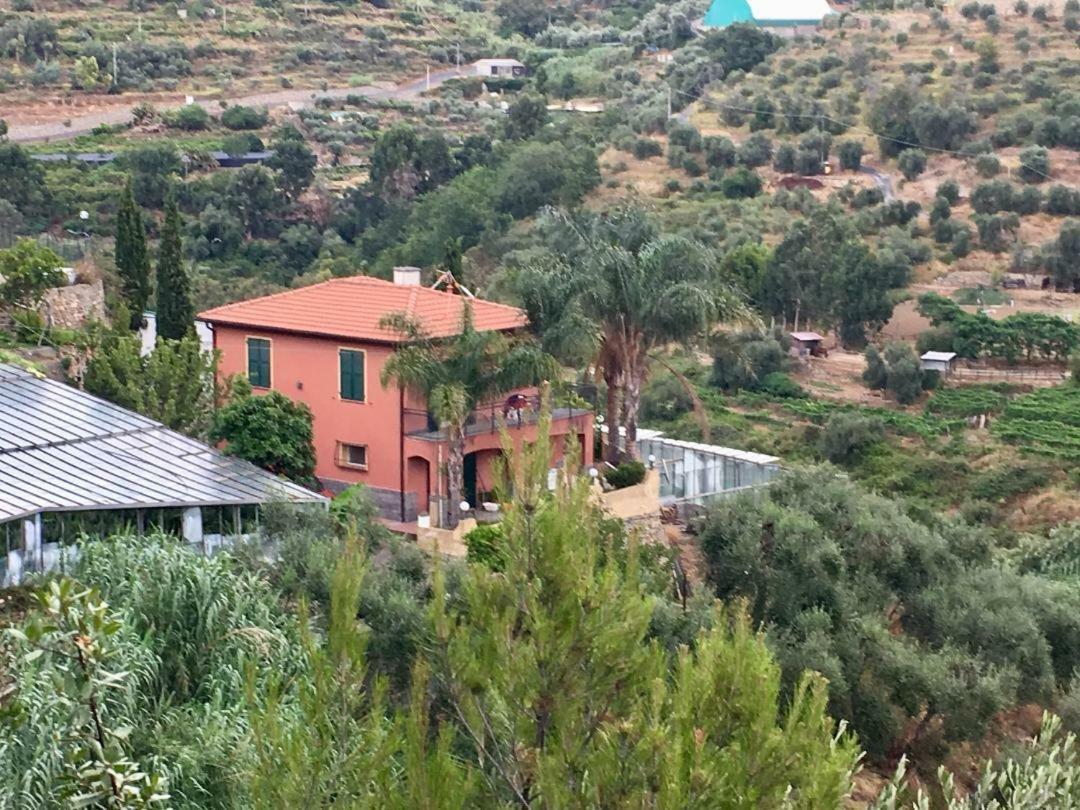 La casa del Podere Castellaro  Exterior foto